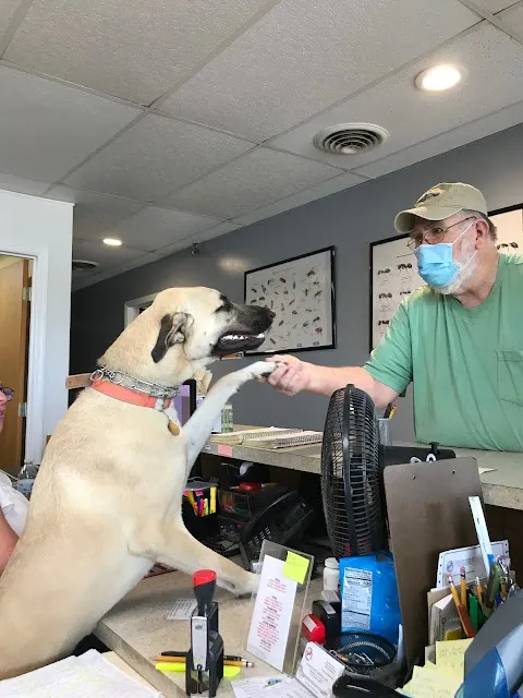Elams Pest Control Inc