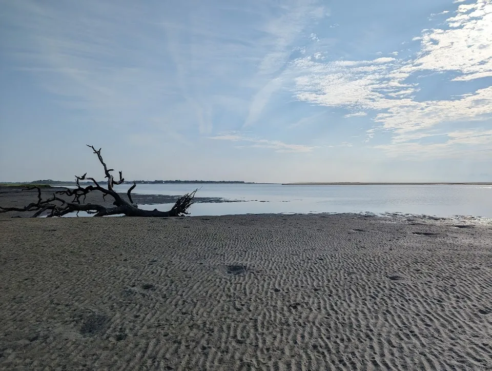 Sea Kayak Georgia - Paddle Tybee