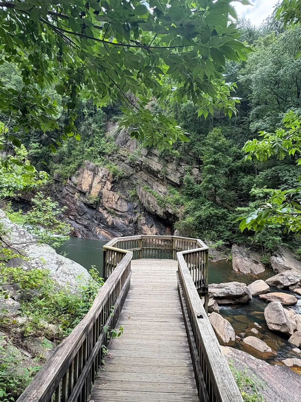 Tallulah Gorge - Suspension Bridge