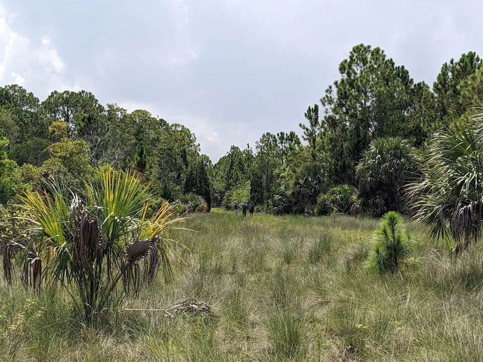 Aripeka Sandhills Preserve