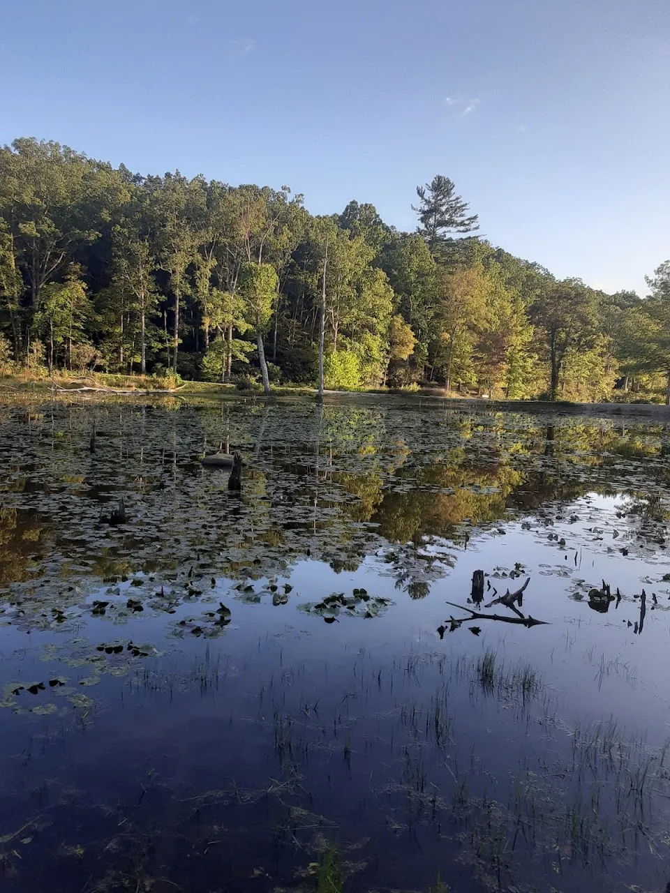 Pandapas Pond Day Use Area
