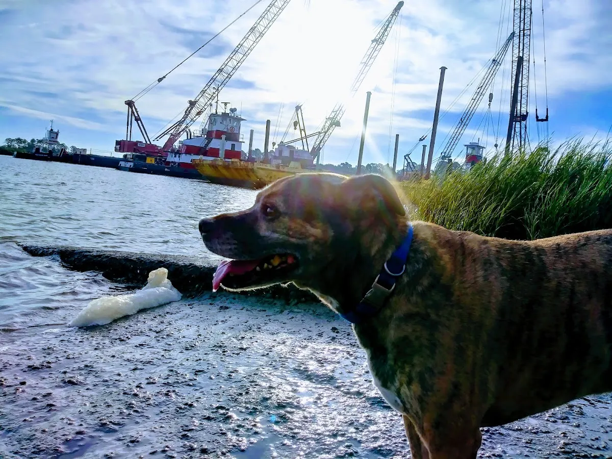 Frank W. Spencer Park
