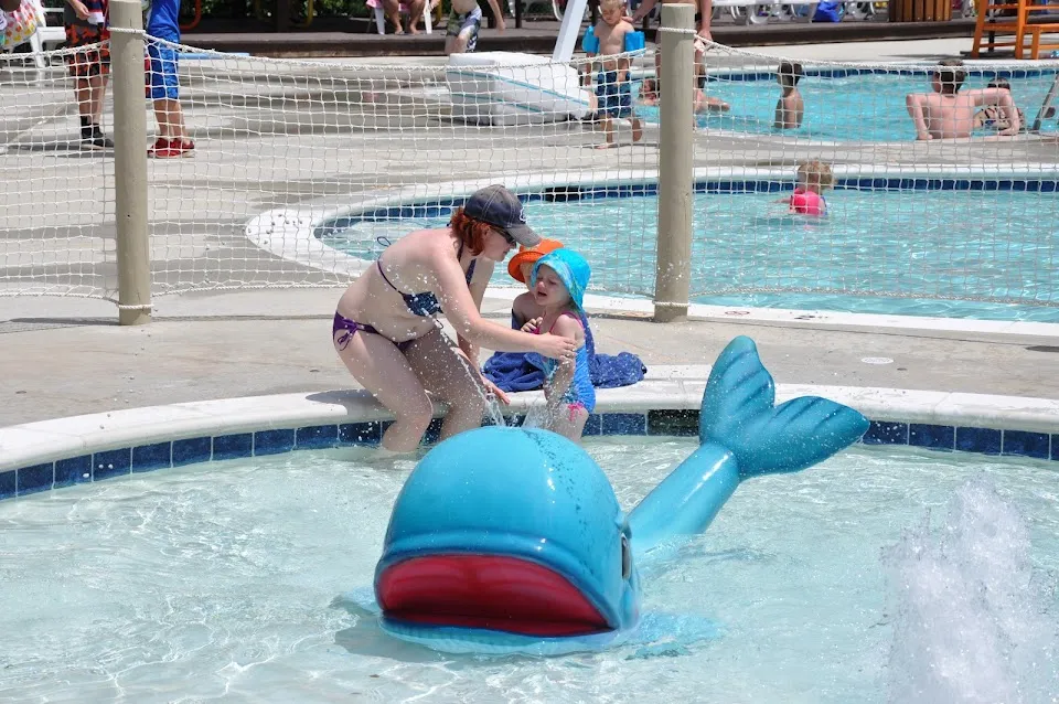 Frog Pond Swimming Pool