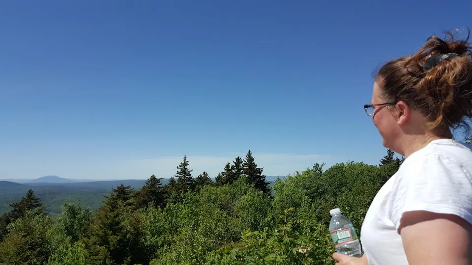 Silver Mountain
