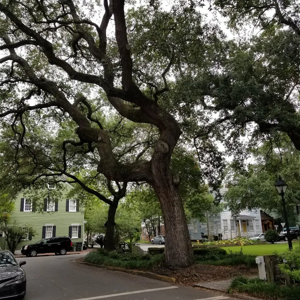 Greene Square