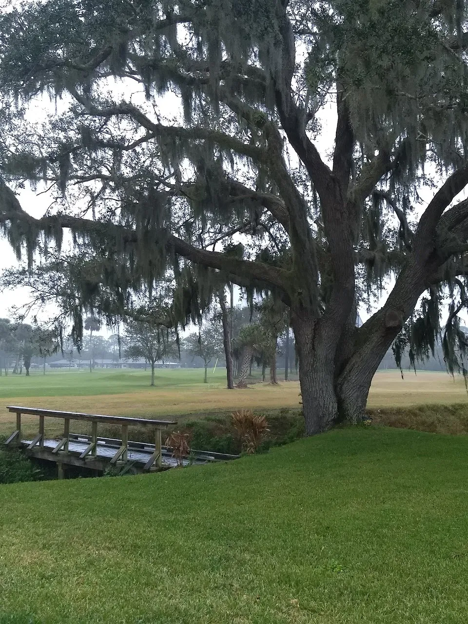 New Smyrna Golf Club