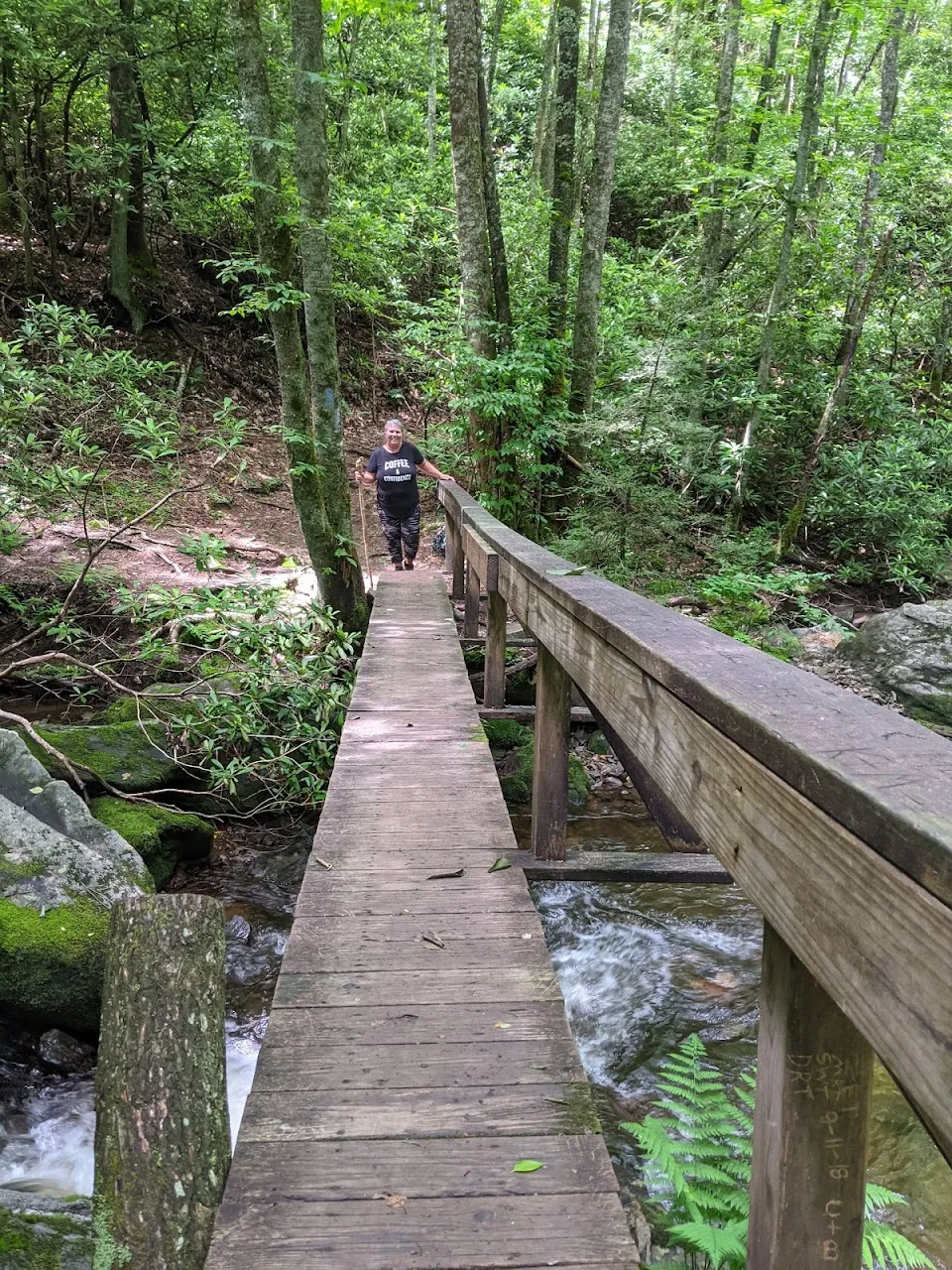 Big Laurel Falls