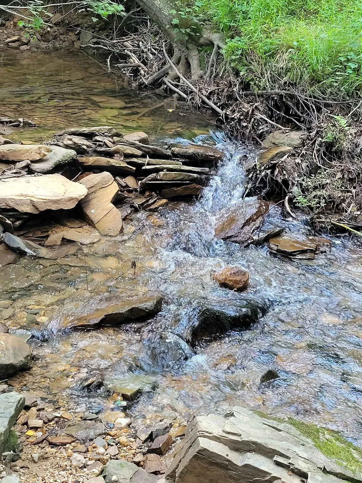 Dan River Access Point & Parking Lot
