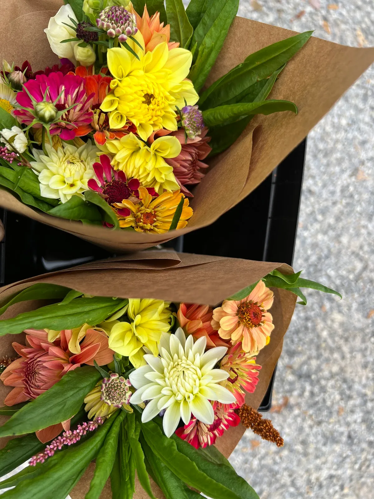 Habersham Locally Grown