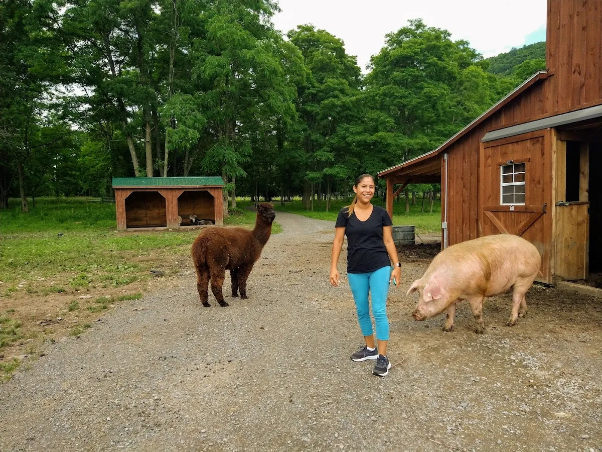 Broome Animal Sanctuary