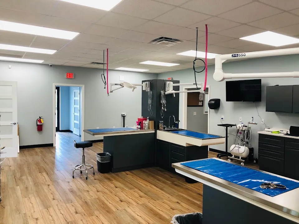 Florence Animal Hospital