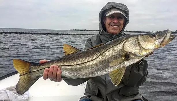 Bebout Fishin' Time