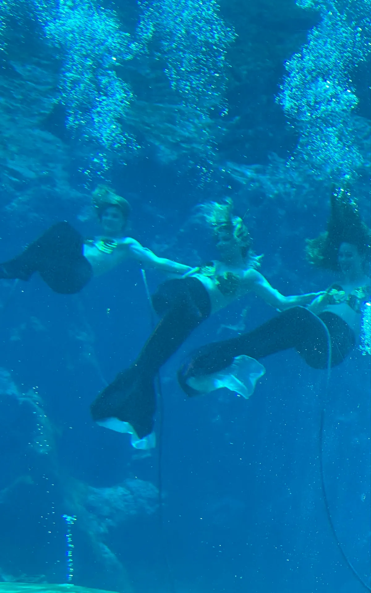 Weeki Wachee Gift Locker