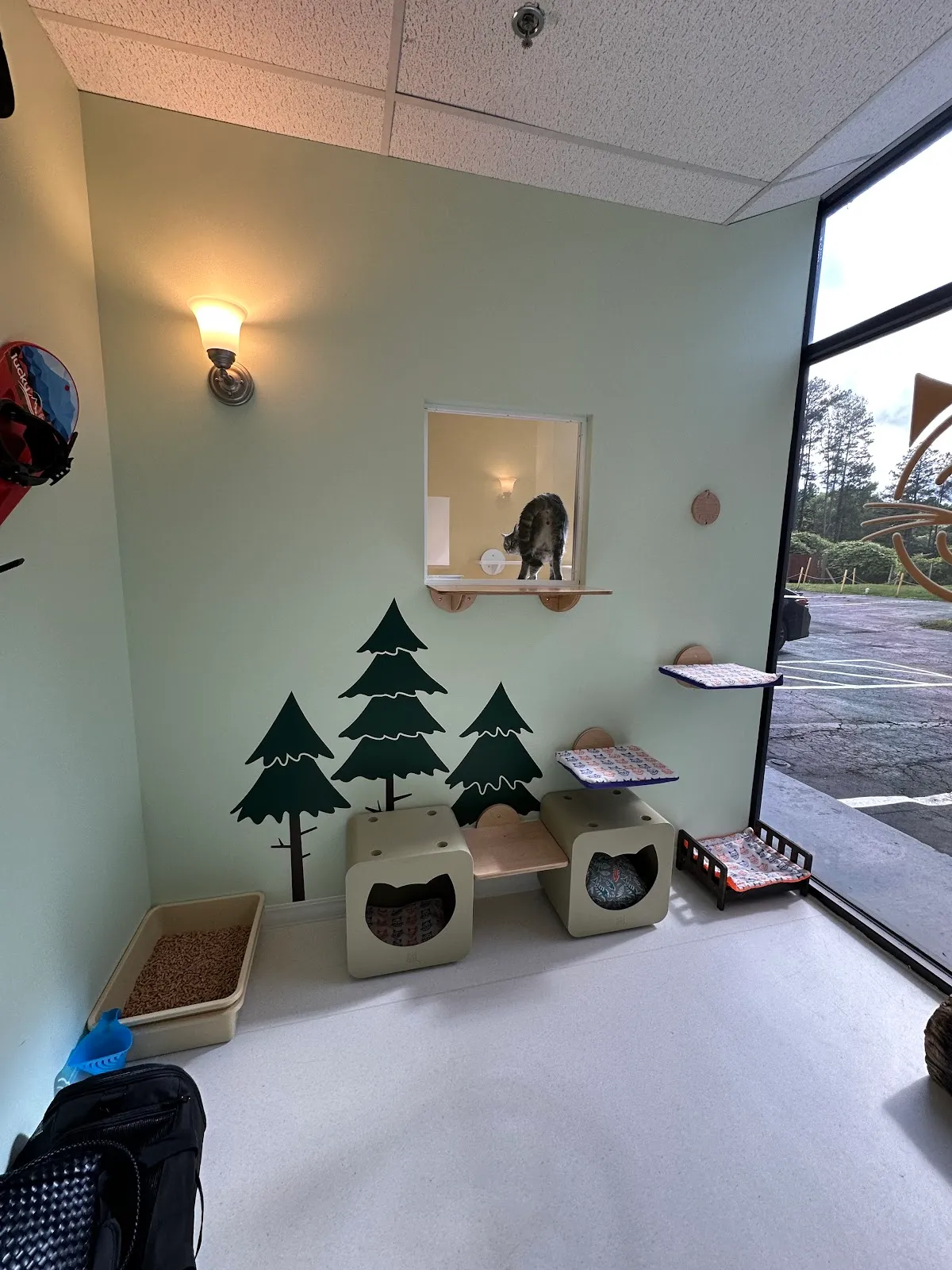 Happy Cat Hotel & Spa Johns Creek