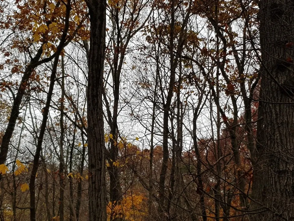 Fuller Mountain Preserve