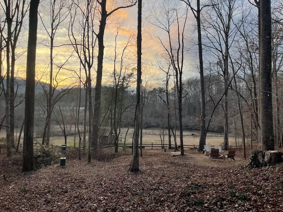 A Holler From Helen Cabin