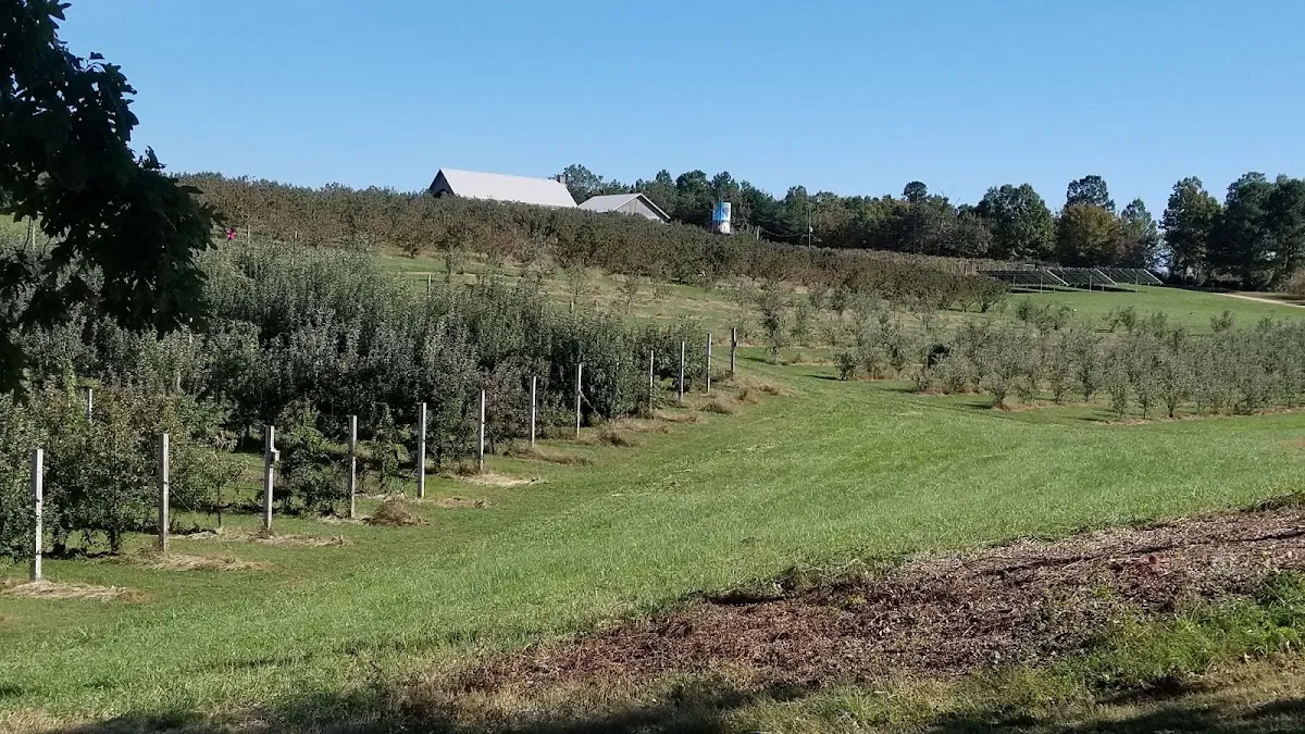 Chattooga Belle Farm