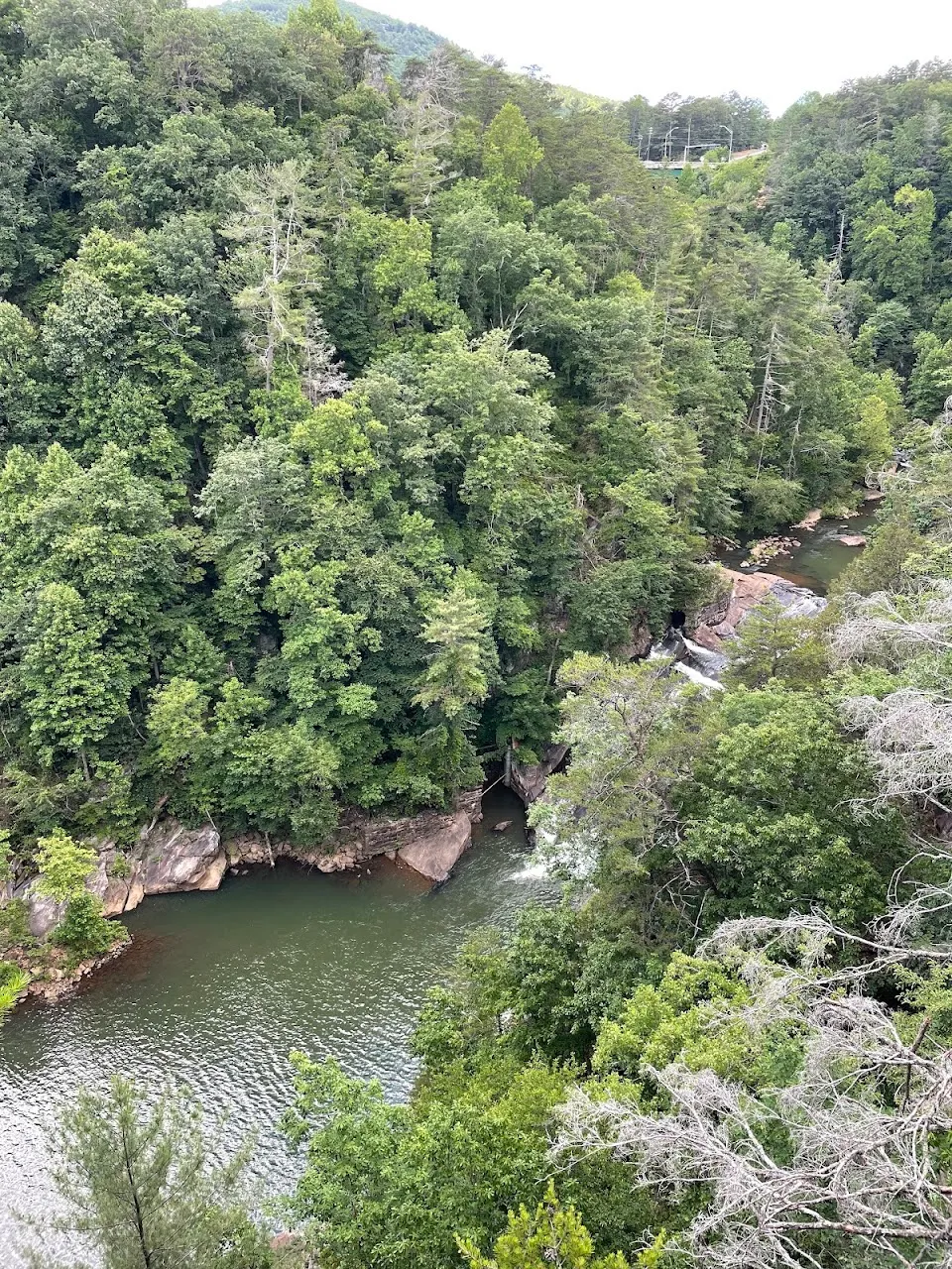 Overlook 3