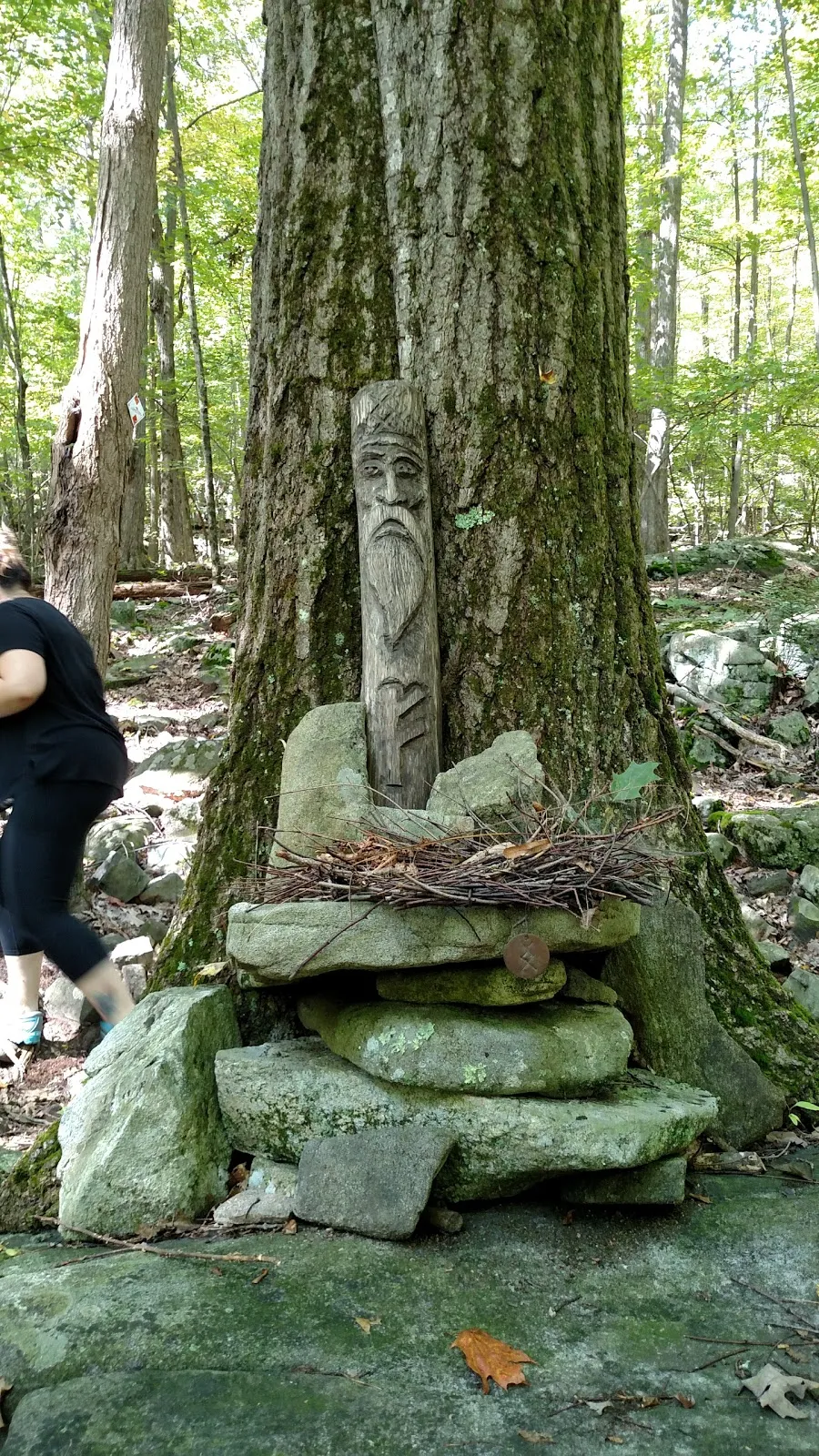 Fuller Mountain Preserve