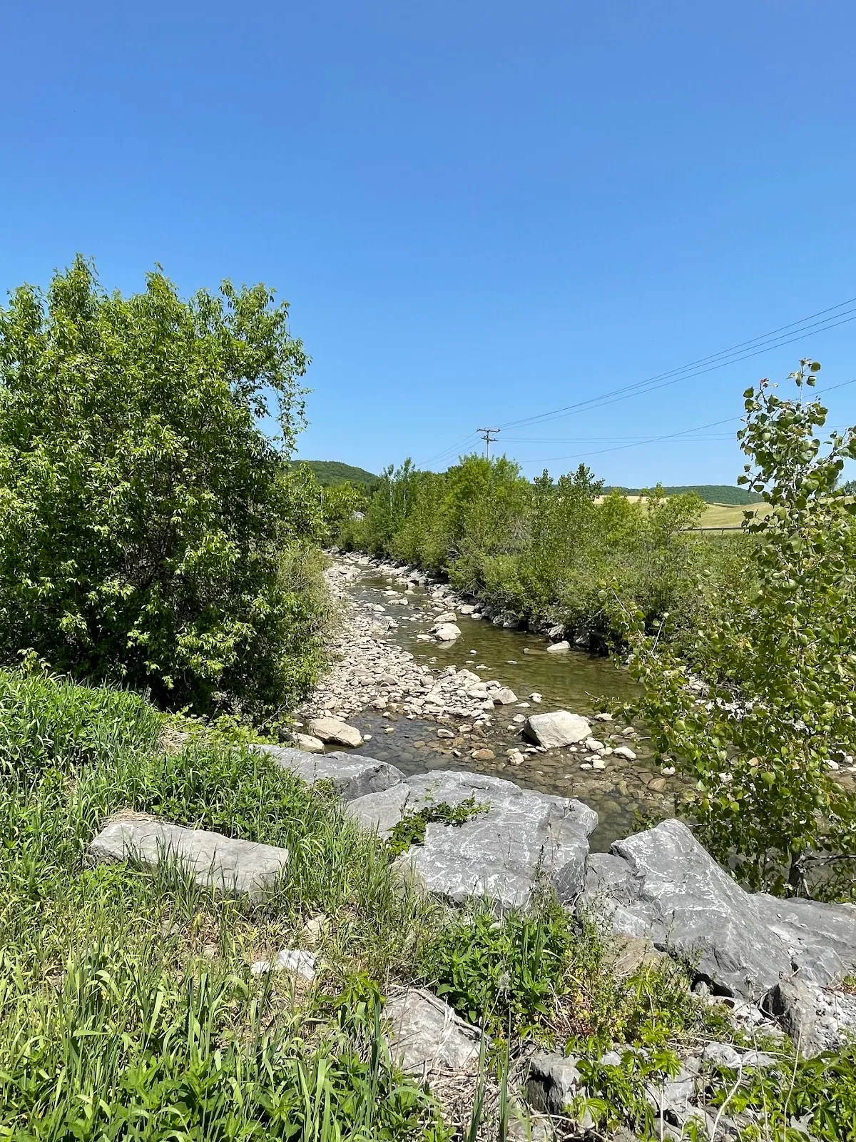 Cobleskill Creek Trail