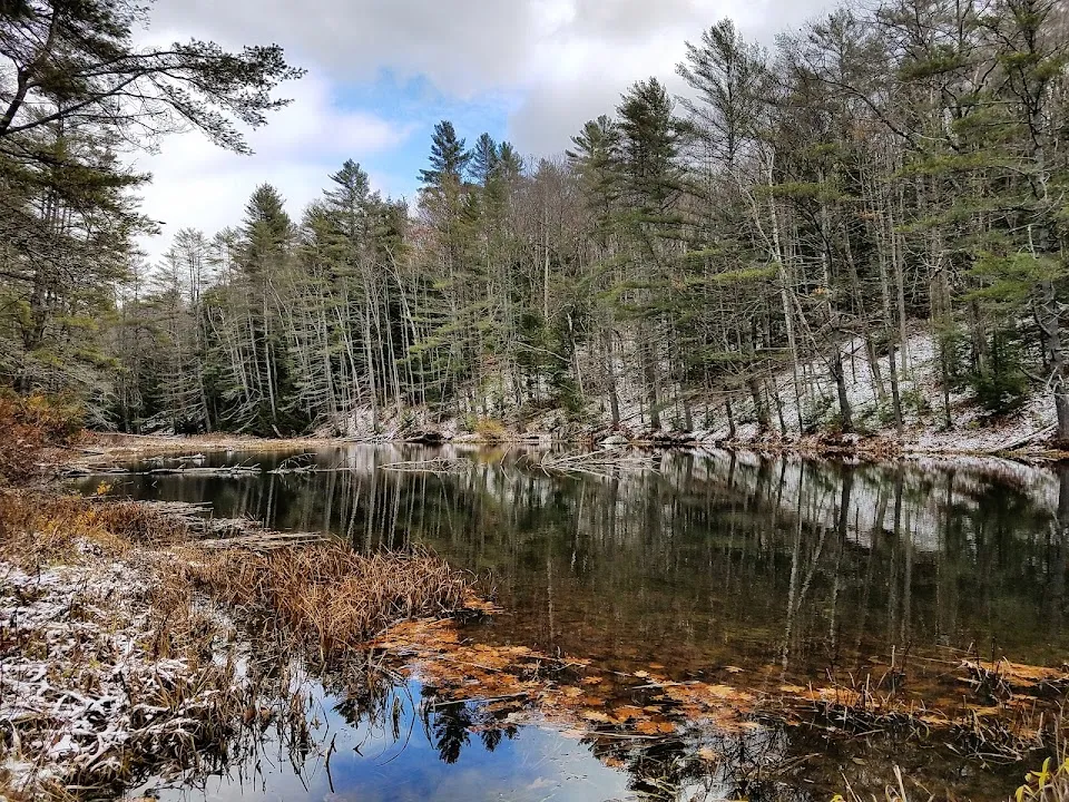 Ceda-T Trail
