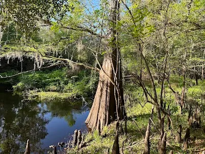 Croom River trail loop