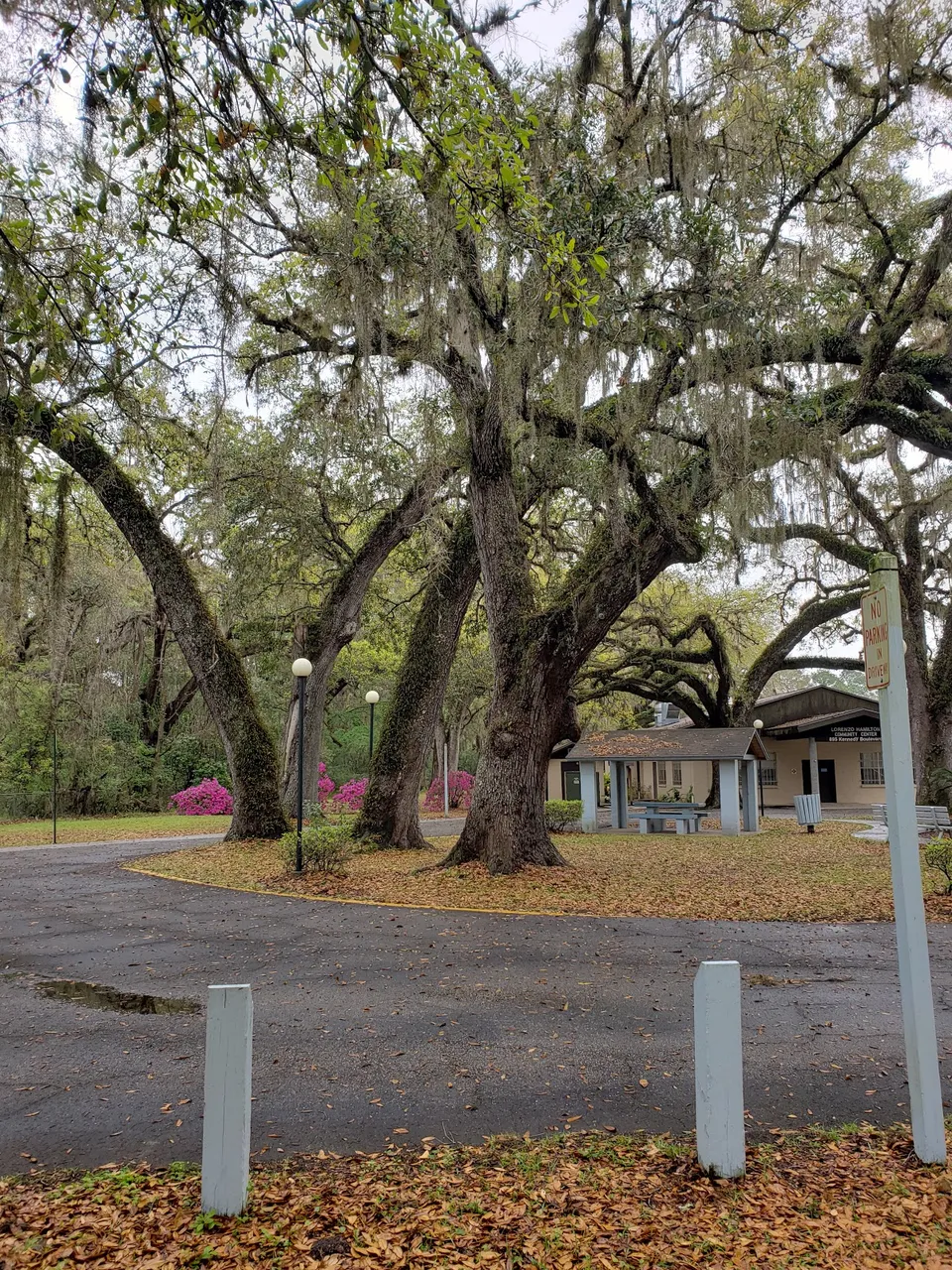 Coach Lorenzo Hamilton Sr. Park