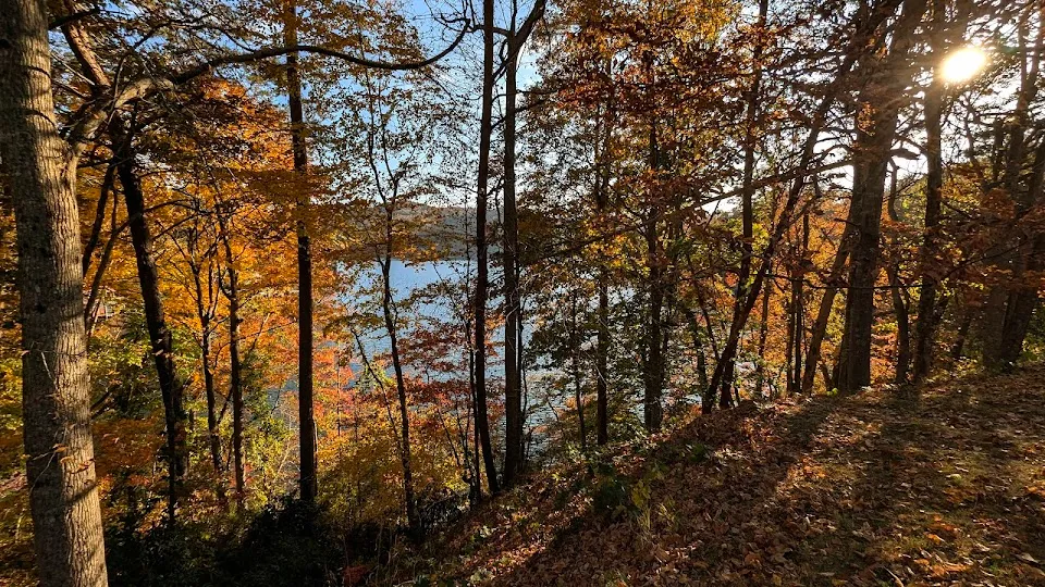 Jones Bridge Park