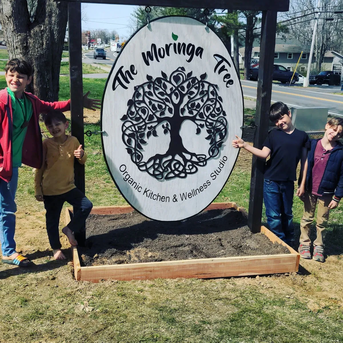 The Moringa Tree Organic Kitchen and Wellness Studio
