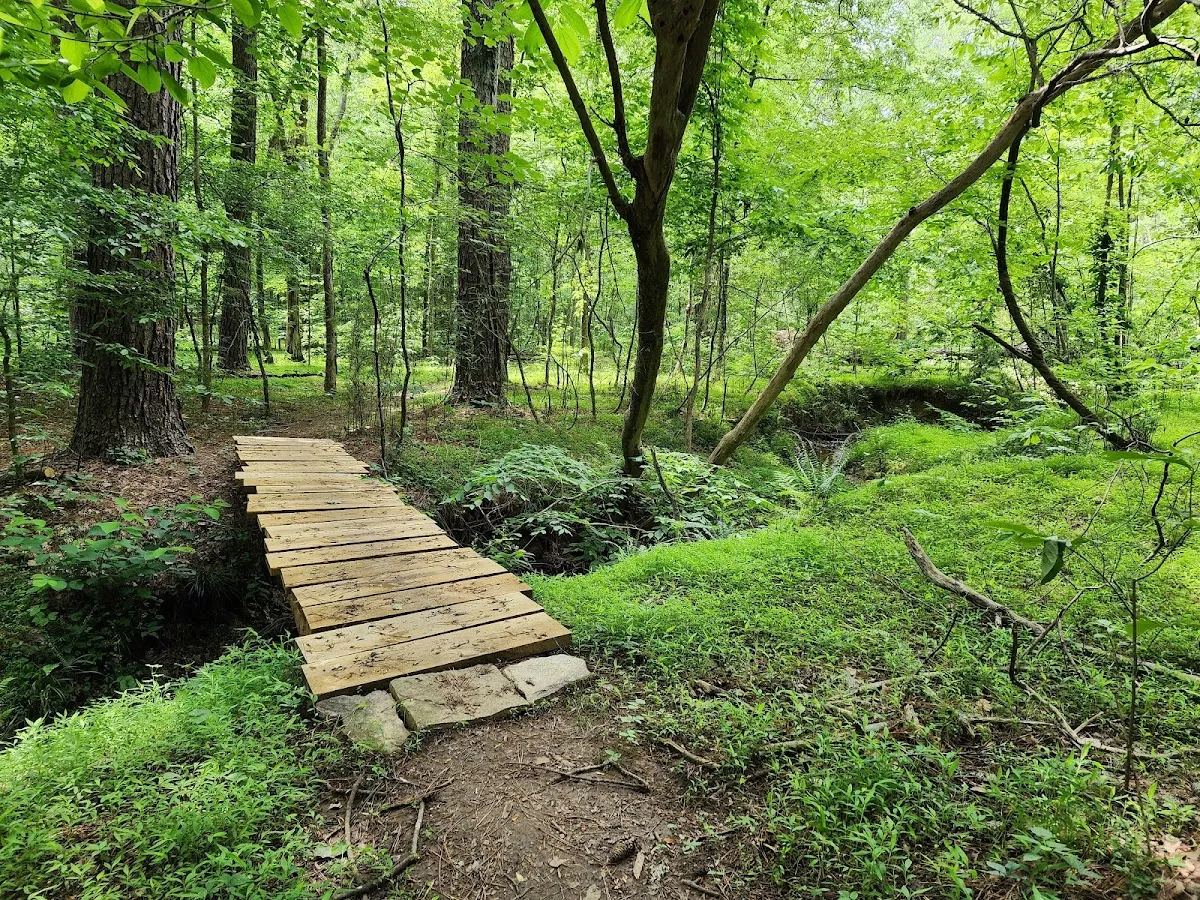 Blankets Creek Mountain Bike Trails
