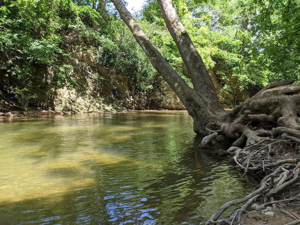 Eastern Montgomery Park