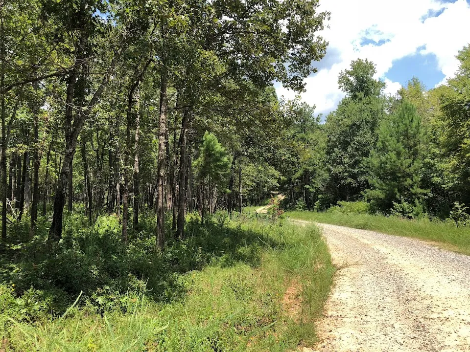 Burgess Mountain Trailhead