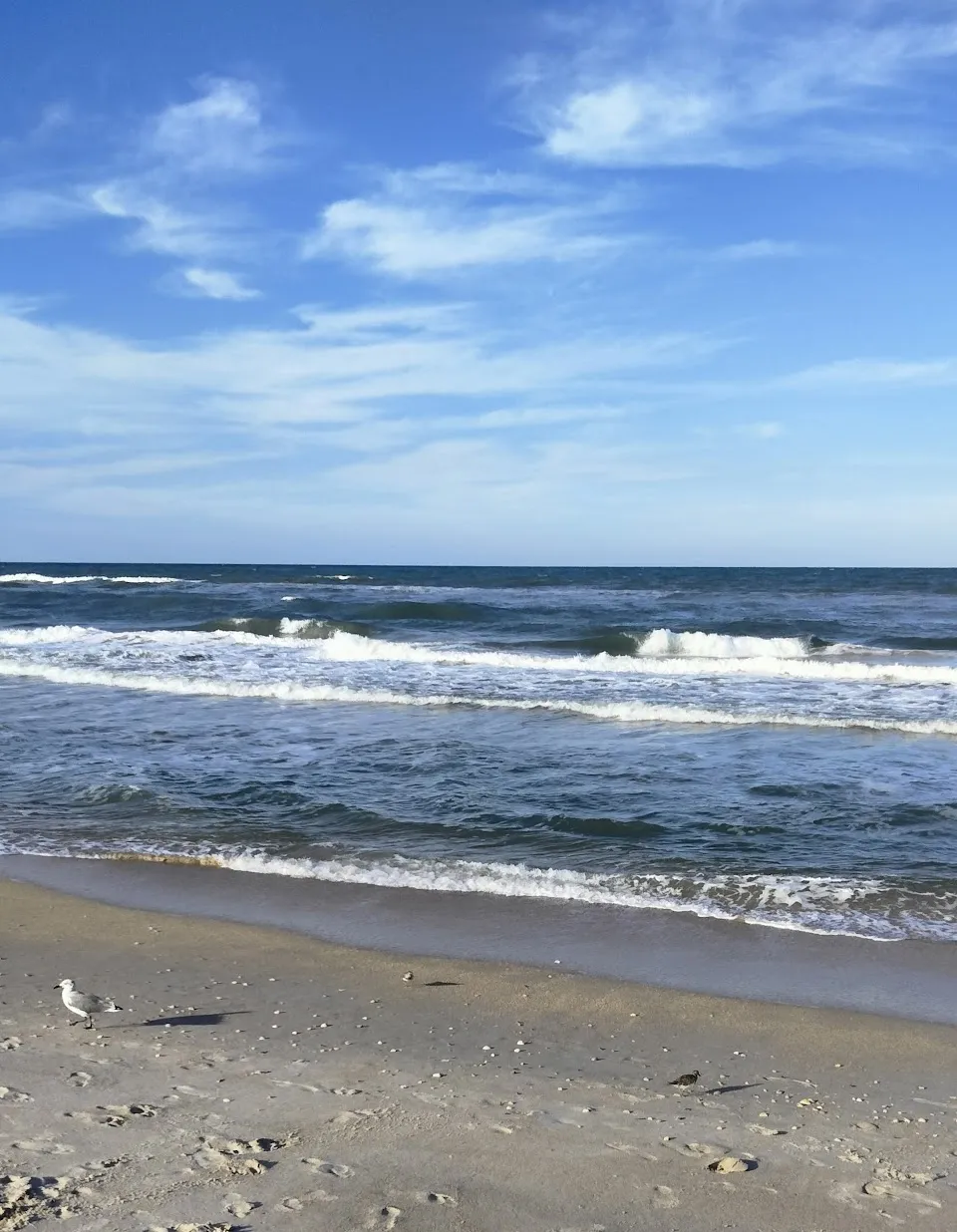 Ocean Club at Turtle Mound
