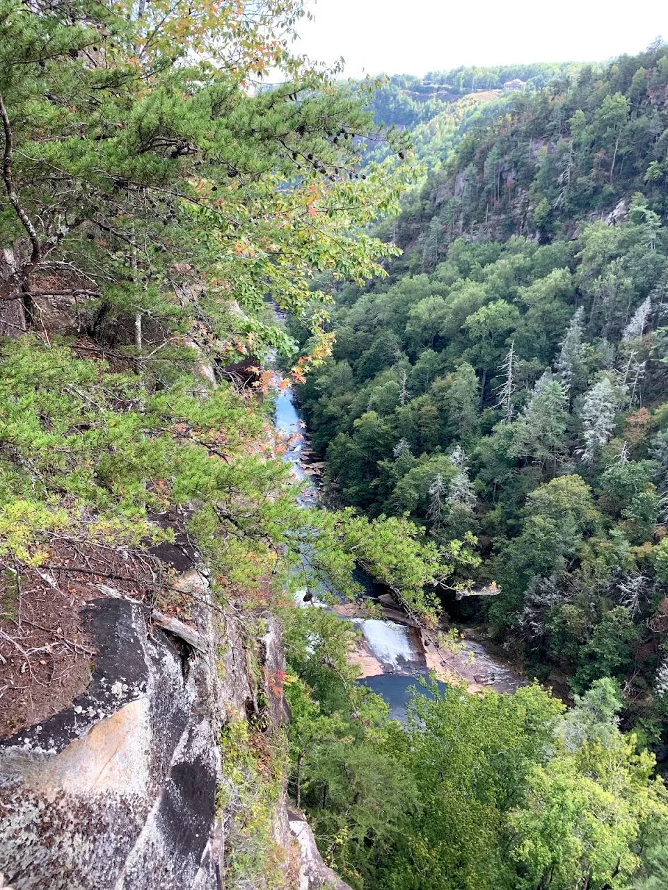 Caledonia Cascade