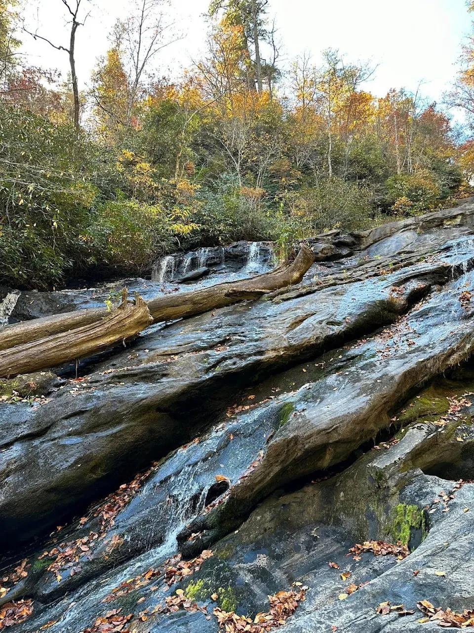 Holcomb Creek Falls