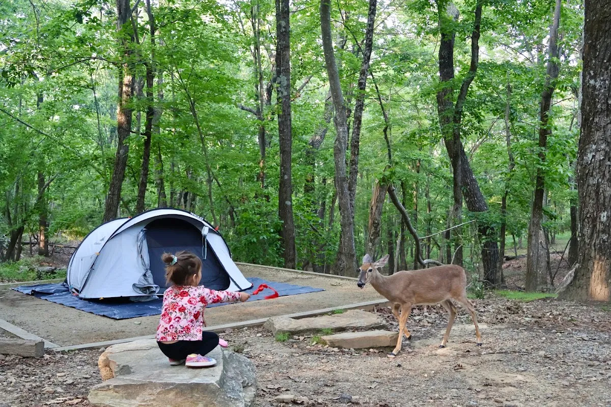 Hanging Rock State Park Campground