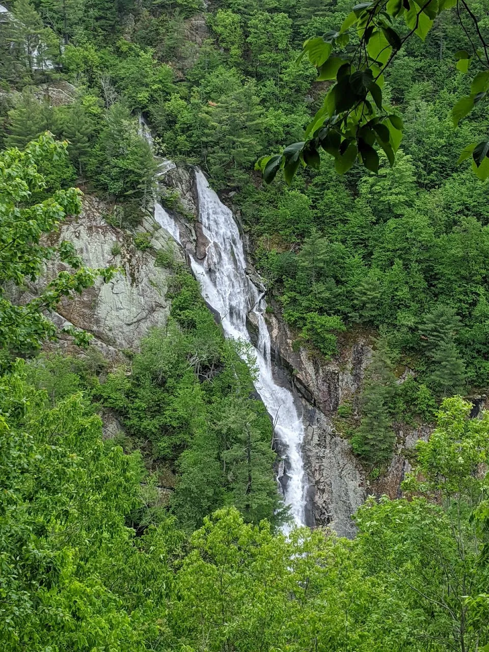Bottom Creek Gorge Preserve