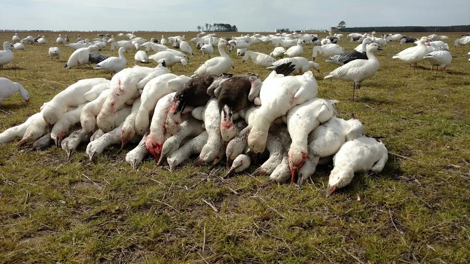 Fourth Generation Outfitters