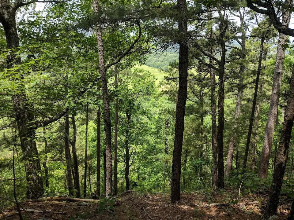 Sparrow Hawk Wildlife Management Area