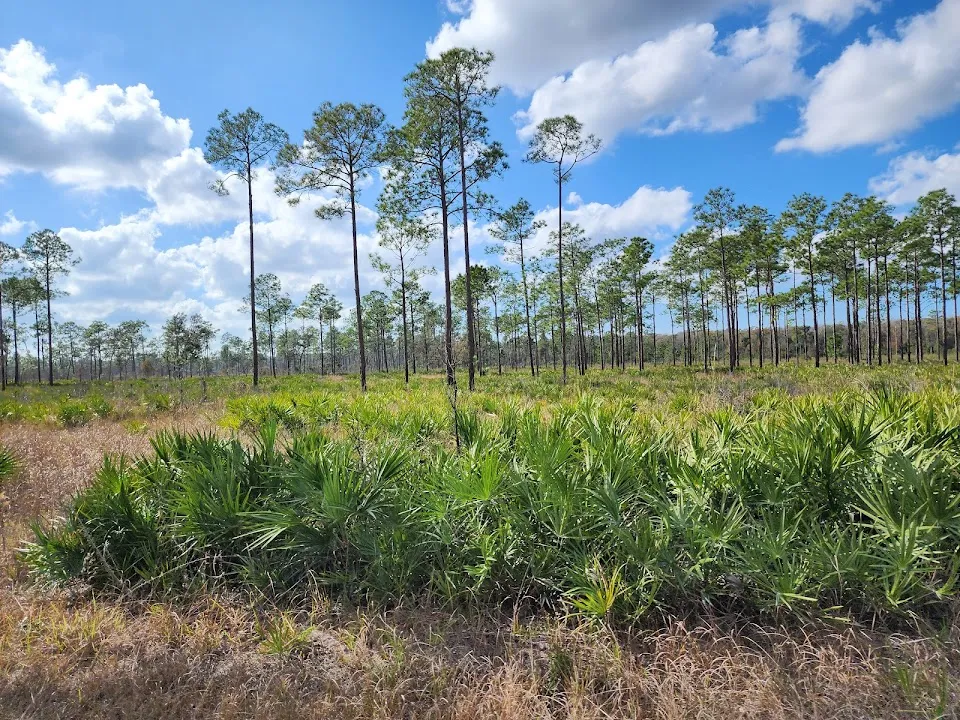 Chassahowitzka Wildlife Management Area
