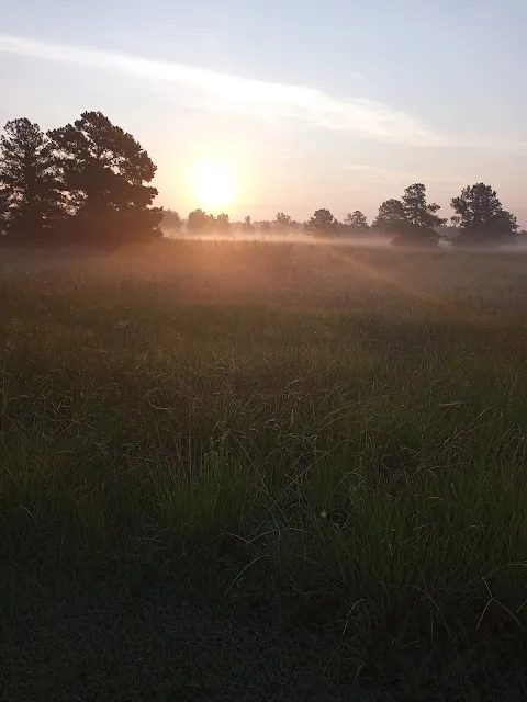 Gulf Terrace Park