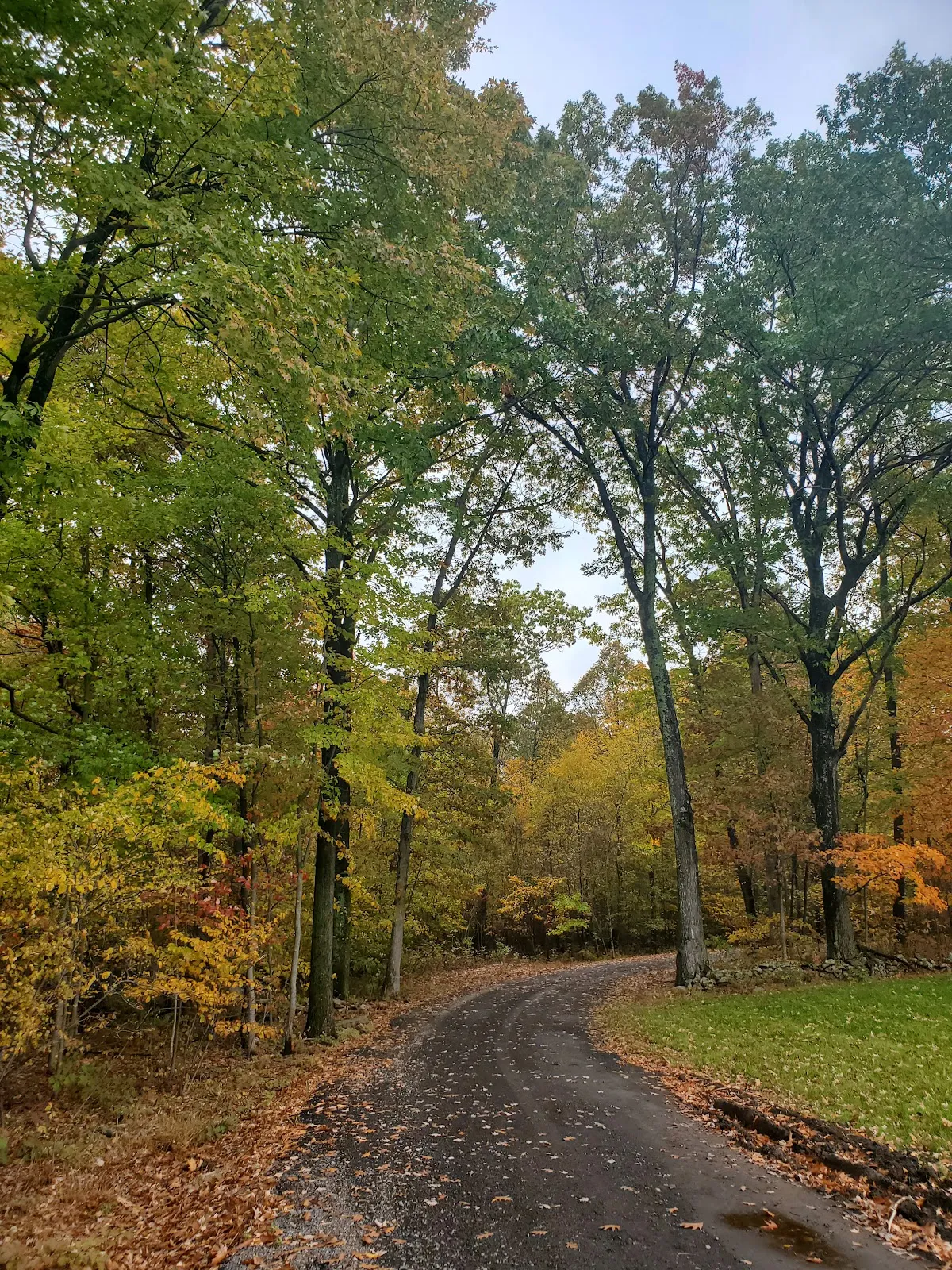 Town of Greenville Park