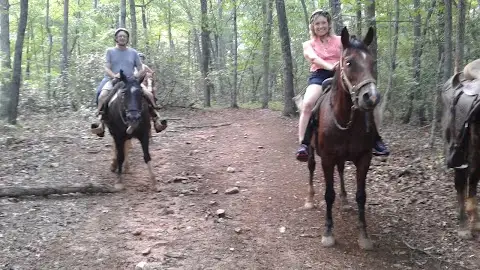 Horse Whisperer Cabin