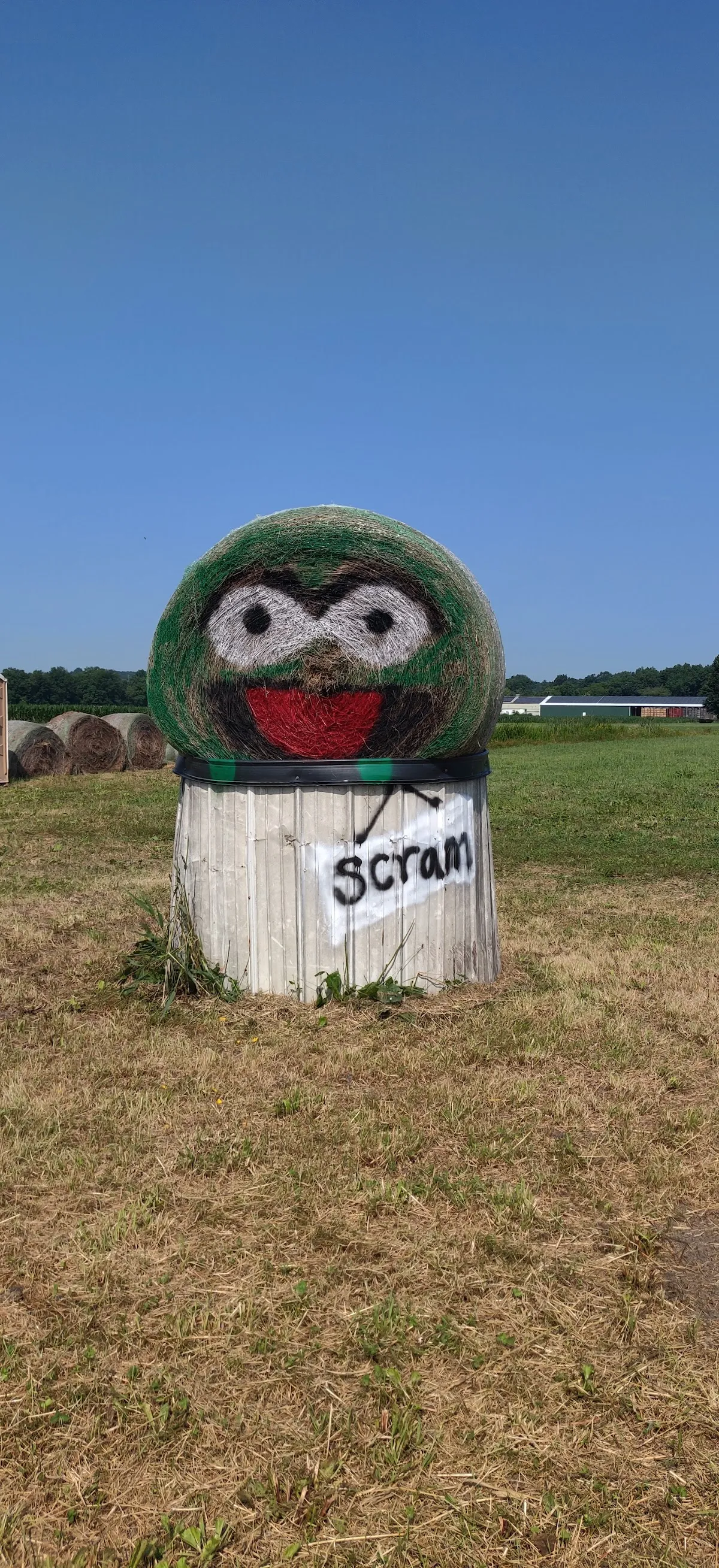 Sunflower Valley Farm