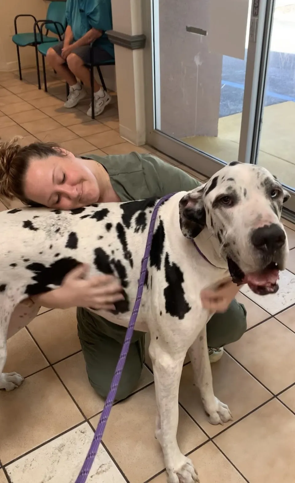 Animal Care Center-Weeki Wachee