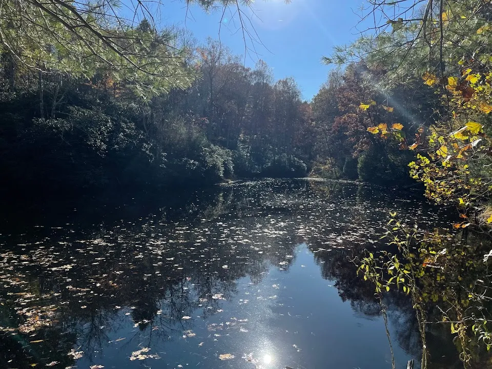 Bottom Creek Gorge Preserve