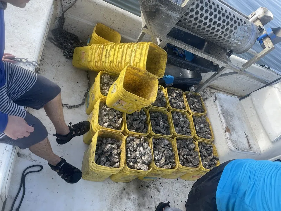 Indian River Oyster Company (IROC Oysters)