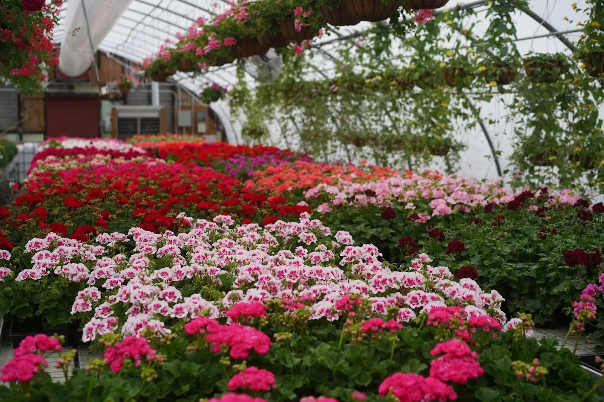 Kathan Gardens and Gifts & Henry's Café