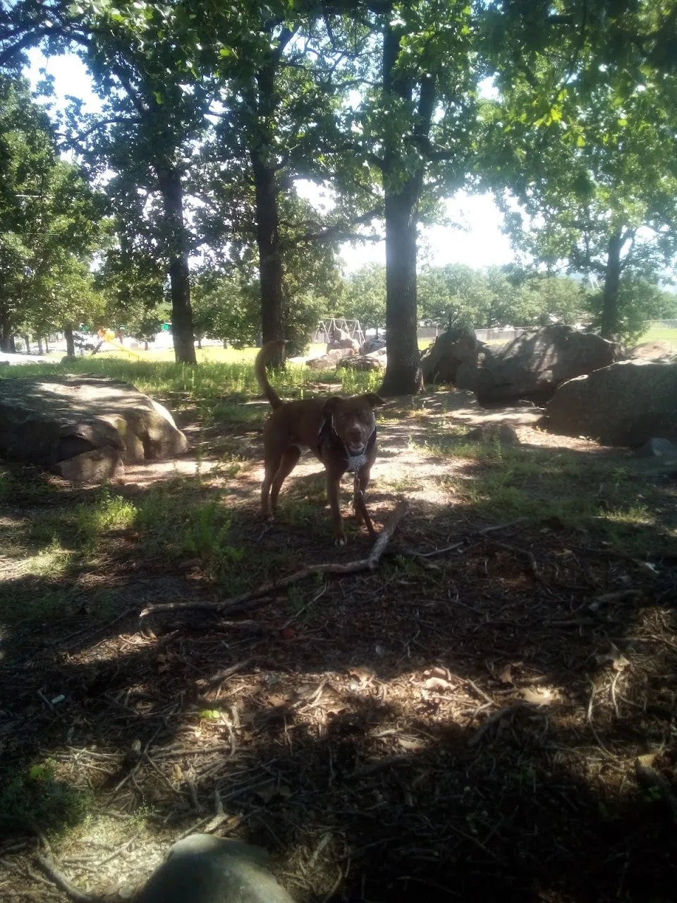 Michael J. Hunter Park