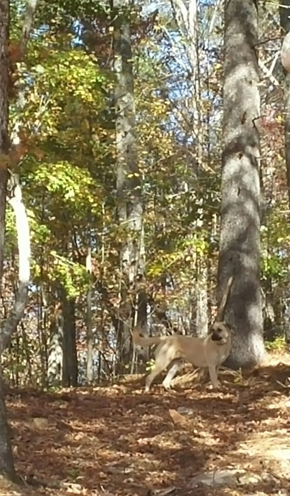 Rabun County